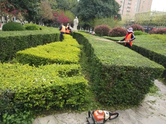 奉贤区社区绿化工程费用