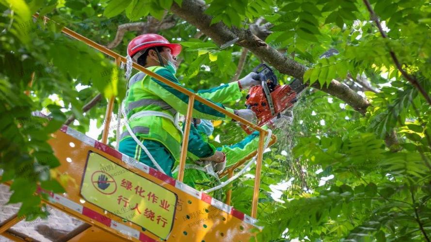 户外园林景观设计圆型地铺